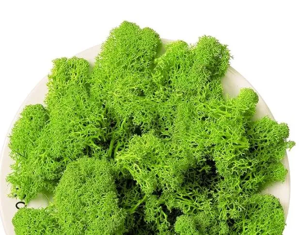 Artificial Moss for Resin Art 22g Resinarthub Necklaces