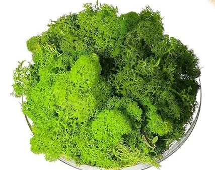 Artificial Moss for Resin Art 22g Resinarthub Necklaces