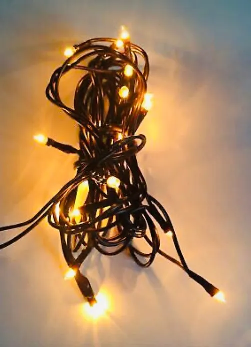 Dublin Design Necklaces 20 Bulb LED Light Strand