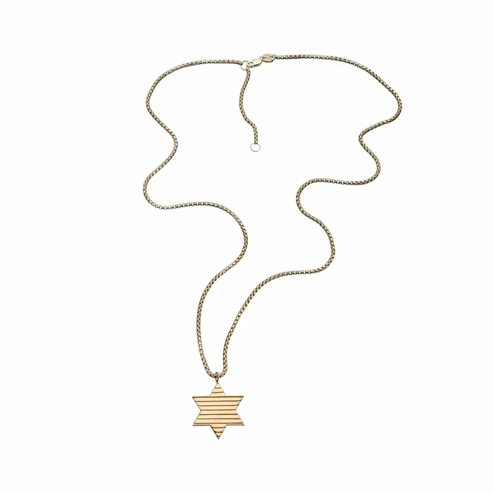 Jennifer Zeuner Necklaces Noam Star Necklace