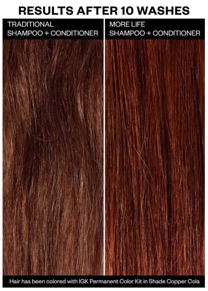 MORE LIFE COLOR EXTENDING CONDITIONER IGK Hair Earrings