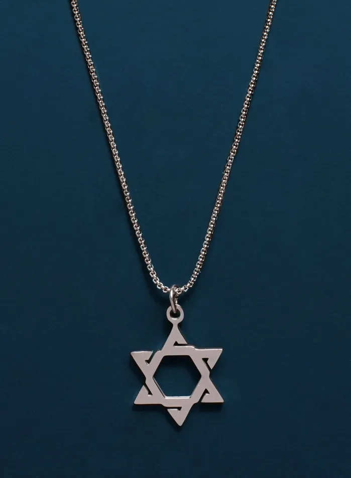 Necklaces WE ARE ALL SMITH Stainless Steel Star of David Necklace for Men
