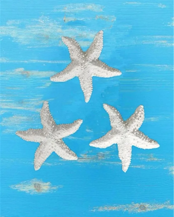 Resinarthub Earrings Star Fish For Resin Art Decor 2