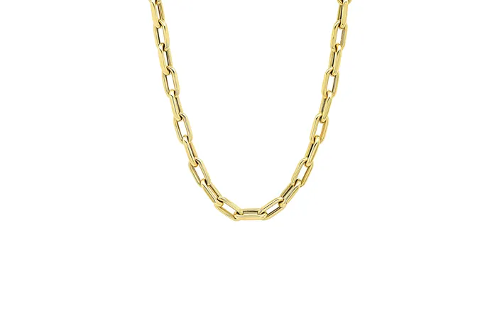 Shylee Rose Necklaces Open Link Necklace