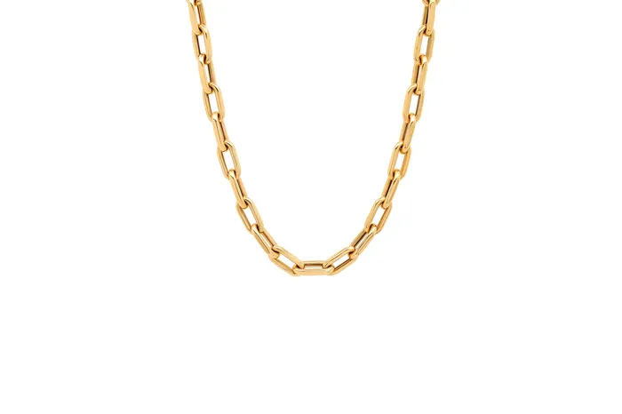 Shylee Rose Necklaces Open Link Necklace